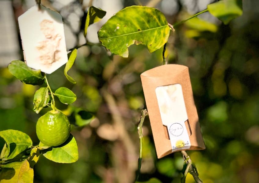 Lemon Burst Closet Freshener